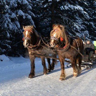 SOLINA TRAPERSKA ПРИГОДА 5 ДНІВ фото 2