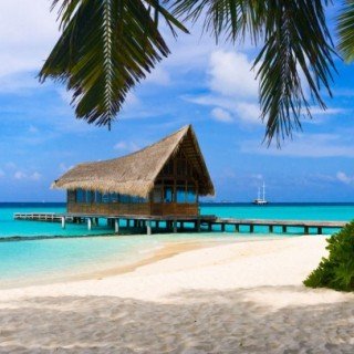 Багамські Острови фото 4