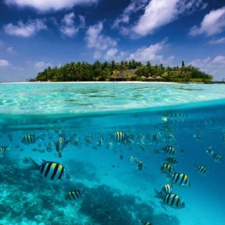 Maldives 2024 фото 10