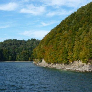 solina 5 фото 14