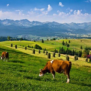 TATRY I PODHALE   груповий тур 45 +2 фото 12