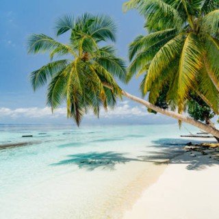 Maldives 2024 фото 17