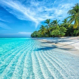 Maldives 2024 фото 19