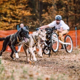 SOLINA TRAPERSKA ПРИГОДА 5 ДНІВ фото 10