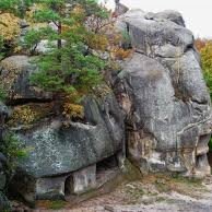 КАРПАТИ 4 фото 4