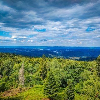 SOLINA 2026 весна фото 3