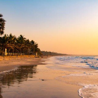 Сенегал -Гамбія сафарі фото 1