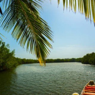 Сенегал -Гамбія сафарі фото 8