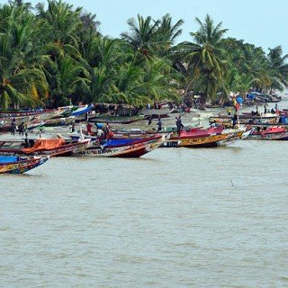 Сенегал -Гамбія сафарі фото 7