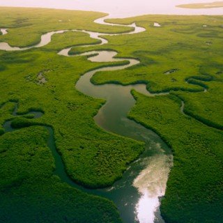 Сенегал -Гамбія сафарі фото 20