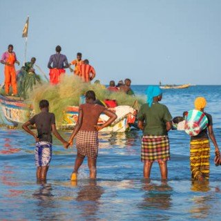 Сенегал -Гамбія сафарі фото 22