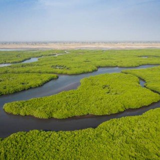 Сенегал -Гамбія сафарі фото 24