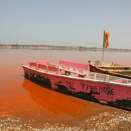 GAMBIA-SENEGAL фото 14