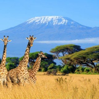KENIA SAFARI (ЧЕРВЕНЬ-БЕРЕЗЕНЬ ) фото 8