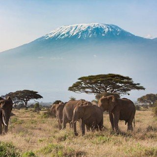 KENIA SAFARI (ЧЕРВЕНЬ-БЕРЕЗЕНЬ ) фото 10