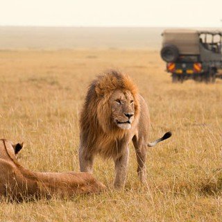 KENIA SAFARI (ЧЕРВЕНЬ-БЕРЕЗЕНЬ ) фото 9
