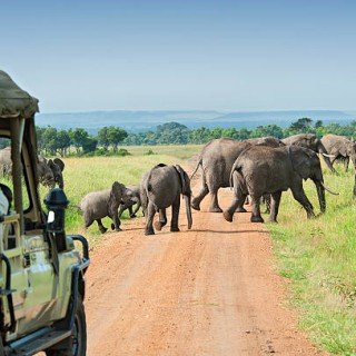 KENIA SAFARI (ЧЕРВЕНЬ-БЕРЕЗЕНЬ ) фото 5