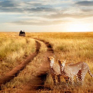 KENIA SAFARI (ЧЕРВЕНЬ-БЕРЕЗЕНЬ ) фото 7