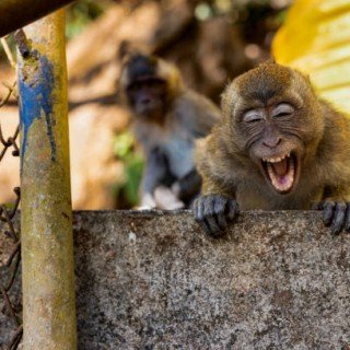 БАЛІ ВІДПОЧИНОК З ЕКСКУРСІЯМИ фото 5